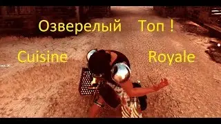 Топ 1 зверем 16+