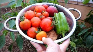 A Day Of Homestead Eating