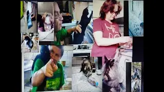 история с 2021г.