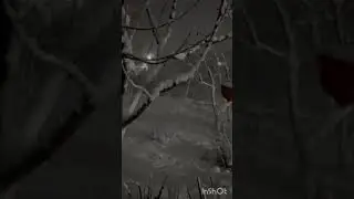 Волшебно...❄️❄️❄️
