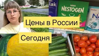 ЦЕНЫ В РОССИИ СЕГОДНЯ НА ПРОДУКТЫ ПИТАНИЯ / МАГАЗИН МАГНИТ