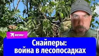 Снайперы: война в лесопосадках под Донецком
