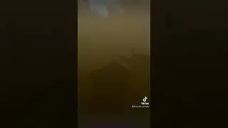 Crocodile attack!!