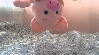 Хрюша