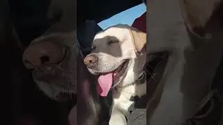 Моя бесконечная любовь ❤