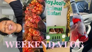 WEEKEND VLOG: I met my mother in love, Spending time with family, Play date lunch and Cleaning