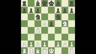 Do, Tung Duong VS Ng Wei Peng, Jordan