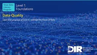 4. Data Quality