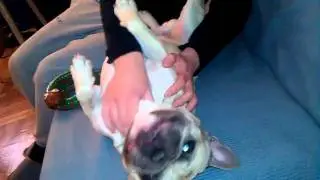 VIDEO0012