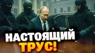 Putin LIVES IN FEAR: Kremlin tightens security and bans flights