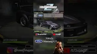 Making Nikki’s 