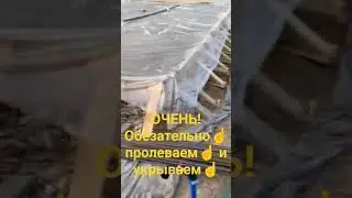 18 июня 2023 г.