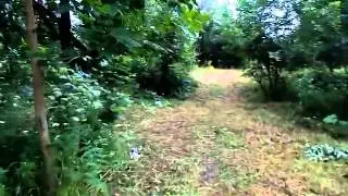 Хопёрское лето