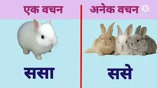 एक वचन- अनेक वचन, मराठी व्याकरण. singular -  plural
