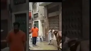 ।funny video of the year। #trending #shorts