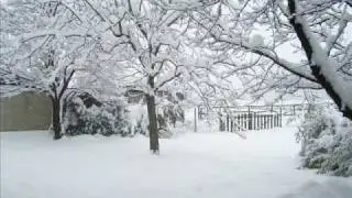 Prima nevicata del 2009