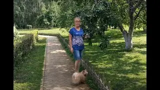 Но верь, и ты пройдёшь свой путь