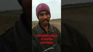 Ulugbek