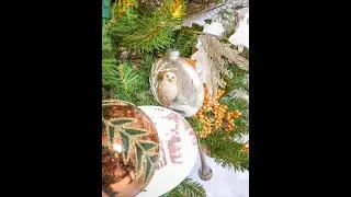 Orlando's Festival of Trees 2022