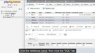 phpMyAdmin Tools - Running Queries on a Database