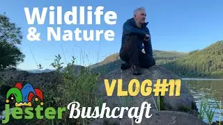 Wildlife & Nature Vlog #11 Bassenthwaite Lake