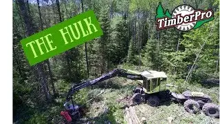 TimberPro TF830C Combo Harvester/Forwarder... The Hulk
