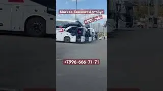 Москва Ташкент Афтобус #ташкент #автобус #automobile #дальнобой #avtobus #топ #rek #тикток