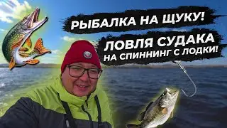 ЩУКА И СУДАК НА ДЖИГ. Рыбалка на спиннинг с лодки. Ловля судака. Щука на джиг. Супер клев. fishing