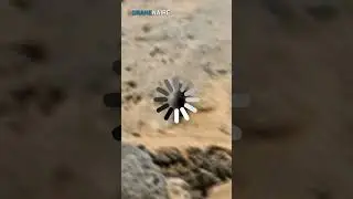 Strange entity photographed on Mars by the Curiosity rover