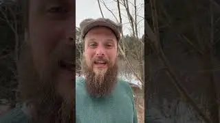 Day 12 - Baseline 36 mile hike. #appalachiantrail #thruhike #training