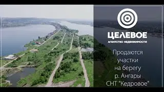 СНТ Кедровое - лето 2024
