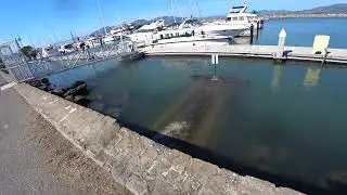 San Francisco - Waterfront and Yachts