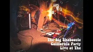 The Big Shaboozie - California Party (Live at The Funhouse)