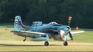 Douglas AD-4N Skyraider - take off, display and landing - Hahnweide 2016