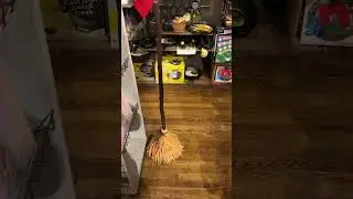 Halloween is on the way with the magic broom