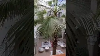 Riad Nashira & Spa in Marrakesh, Morocco 🤍