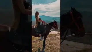 как приручить лошадь?) #лошадь #таролог #гадание