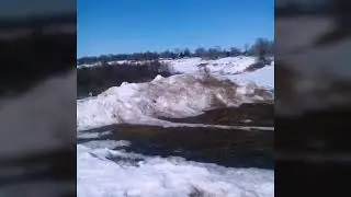 Крольчатам 13 дней !!Красавцы уже открывают глаза!!👍💕🐇🐇🐇🐇💞🐇🐇🐇🐇💕