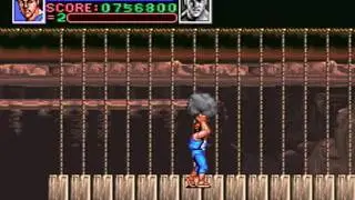 Super Double Dragon ~Stage 6, The Forest~ {Part 6/8}