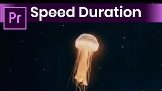 Speed and Duration in Premiere Pro CC (Fast Tutorial) | Slow and Fast Speed in Premiere Pro CC