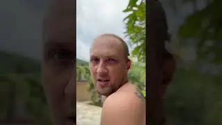 Дед таблетки не выпил