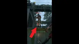 This guy refused to come down😆| 