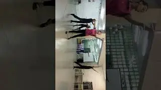 Королевский менуэт