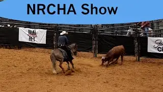 NRCHA show highlights