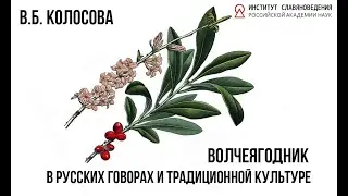 В.Б. Колосова «Волчеягодник в русских говорах и традиционной культуре» 28.05.2024