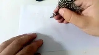 Pisanie piórem