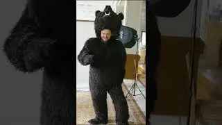 Simple Bear Necessities