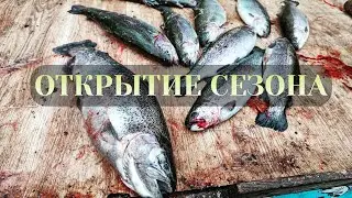 Ловля форели на спиннинг 2022 | Рыбалка на Безлимите в Дурыкино