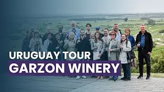 Exploring Garzón Winery: Uruguay’s Hidden Wine Paradis