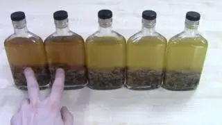 Beaver stream EXPERIMENT!, what to make the tincture on?